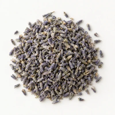 Loose dried lavender buds on a warm-white background.